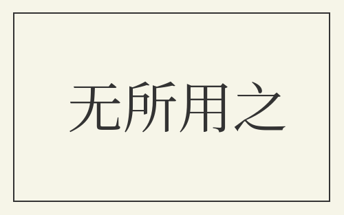 无所用之