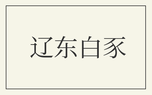 辽东白豕