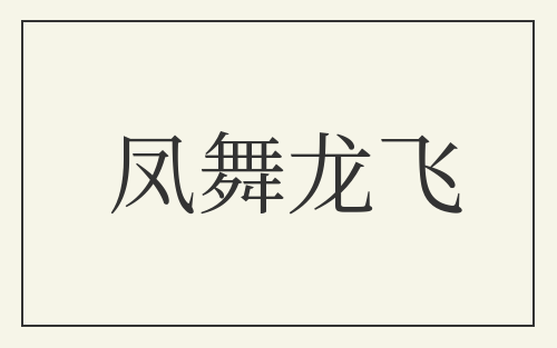 凤舞龙飞