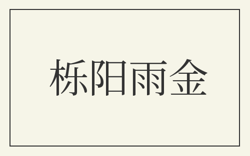 栎阳雨金
