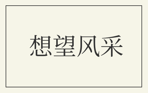 想望风采