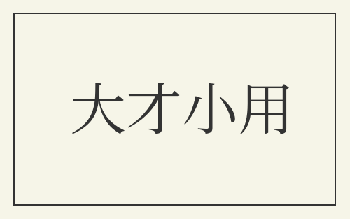 大才小用