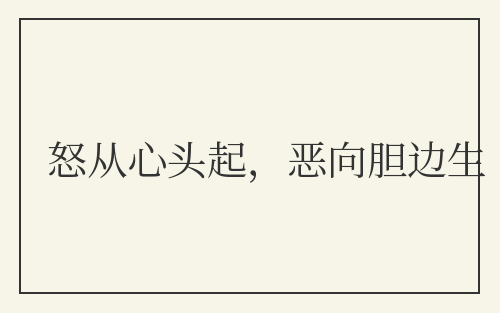 怒从心头起，恶向胆边生