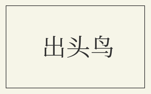出头鸟