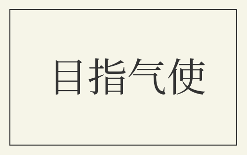 目指气使
