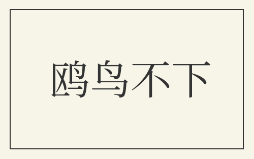 鸥鸟不下