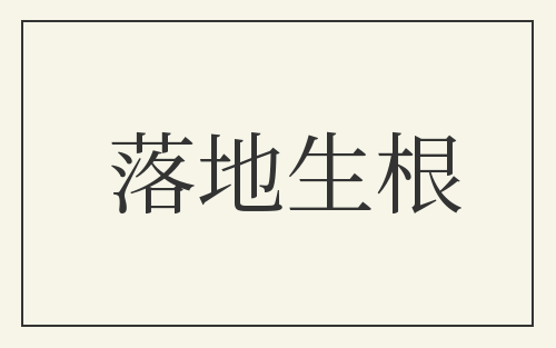 落地生根