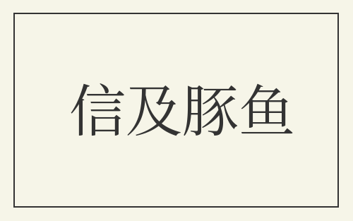 信及豚鱼