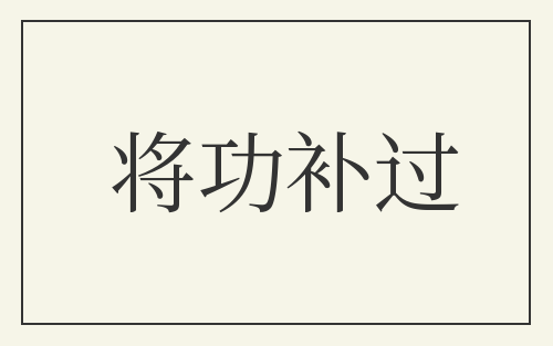 将功补过