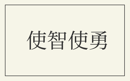 使智使勇