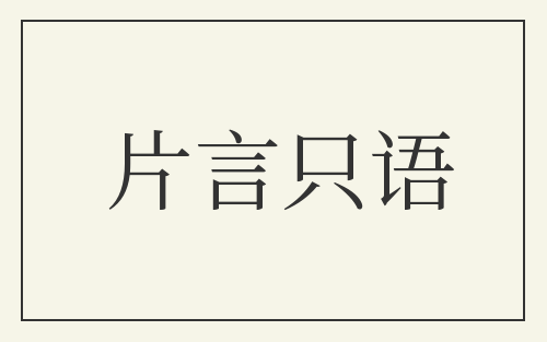 片言只语