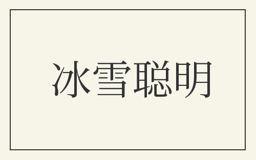 冰雪聪明