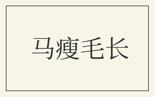 马瘦毛长