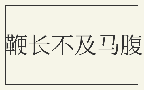 鞭长不及马腹