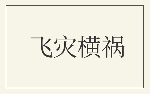 飞灾横祸