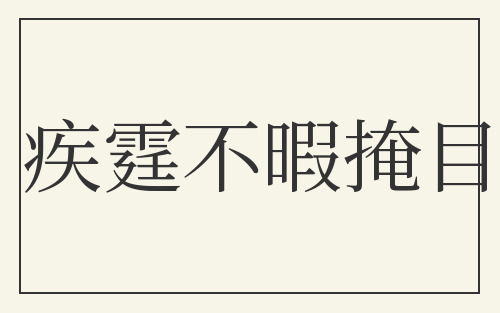 疾霆不暇掩目