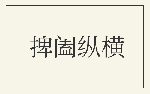 捭阖纵横