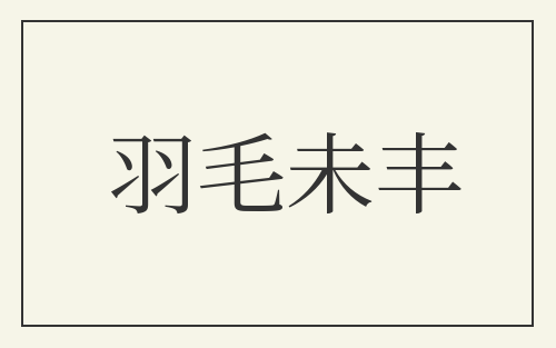羽毛未丰