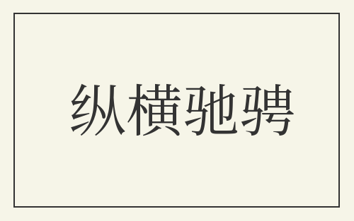 纵横驰骋