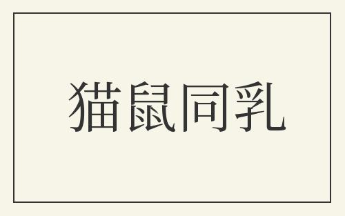 猫鼠同乳