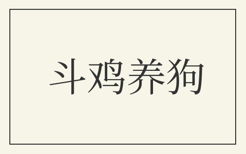 斗鸡养狗