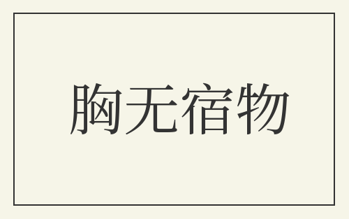 胸无宿物