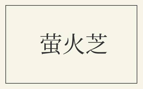萤火芝
