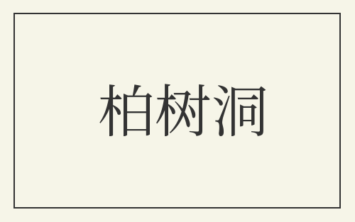 柏树洞