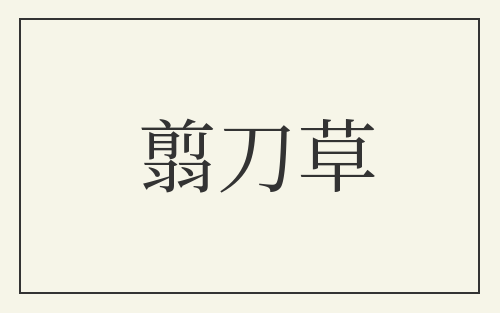 翦刀草