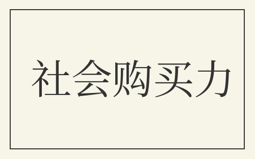 社会购买力