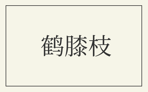 鹤膝枝