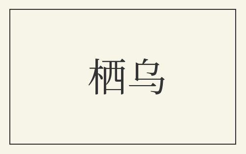 栖乌