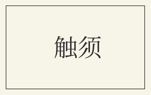触须