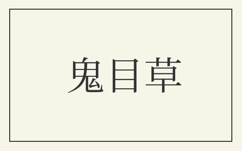 鬼目草