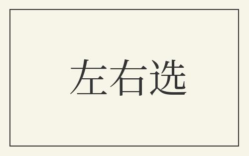 左右选