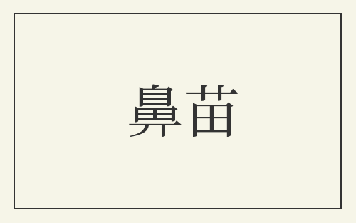 鼻苗