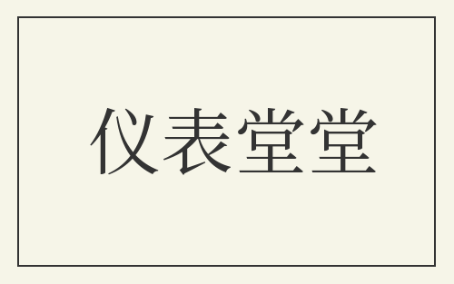 仪表堂堂