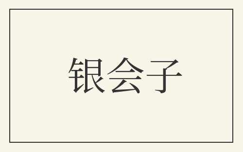 银会子