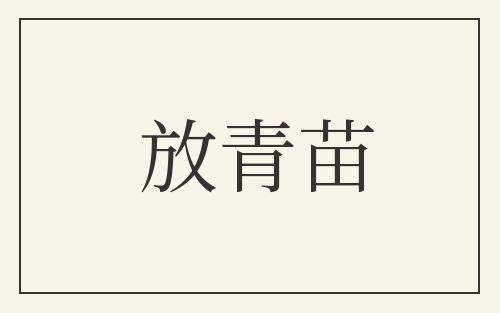 放青苗