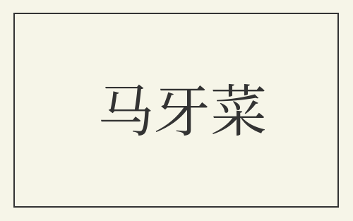 马牙菜