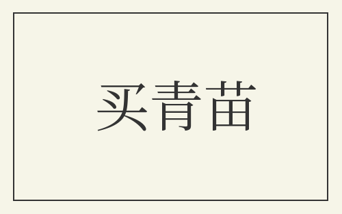 买青苗