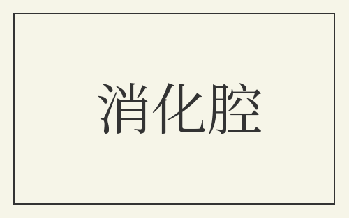 消化腔