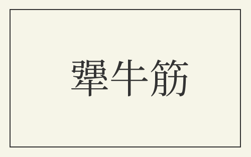 犟牛筋