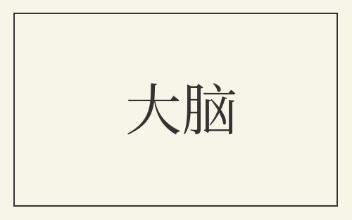 大脑