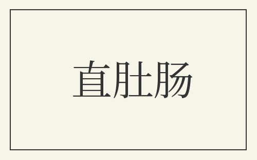 直肚肠