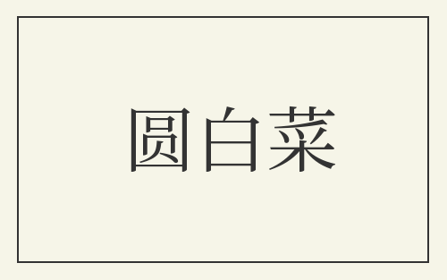 圆白菜
