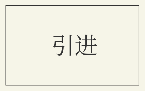 引进