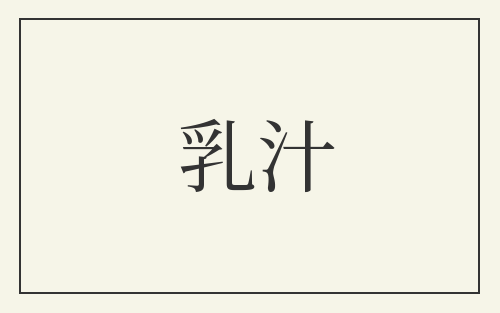 乳汁