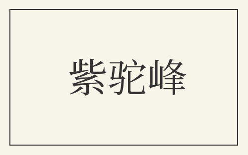 紫驼峰