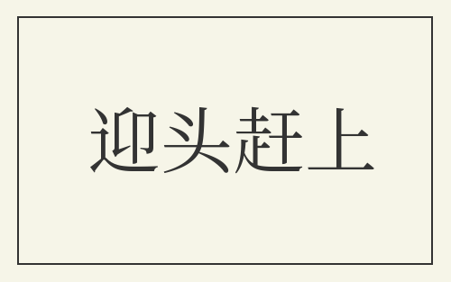 迎头赶上
